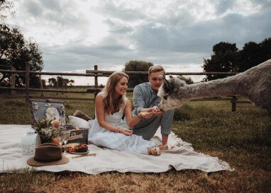 Buche bei uns euer einzigartiges Alpakaerlebnis