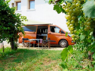 area per sosta su sterrato immersi nella vigna
Off-Road-Parkplatz mitten im Weinberg