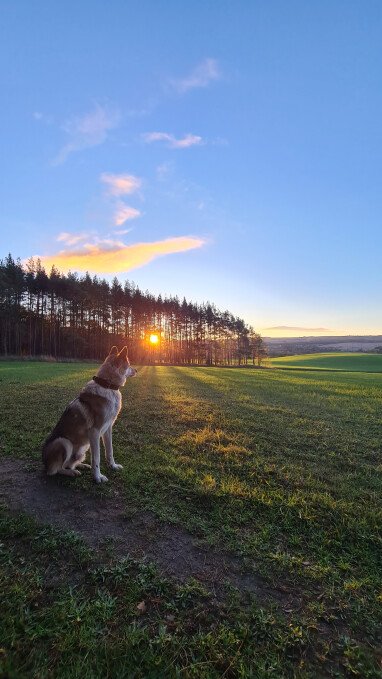 Umliegende Landschaft