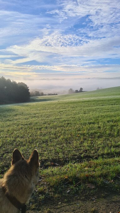 Umliegende Landschaft