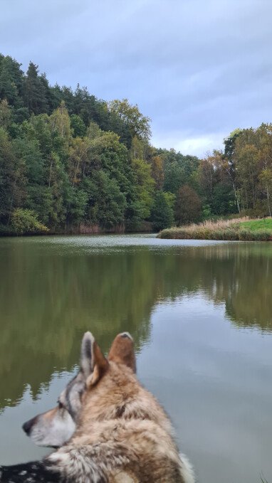 See hinter dem Grundstück