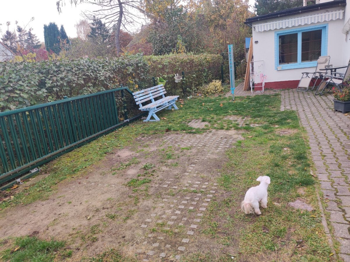 WhatsApp Image 2023-11-04 at 12.43.53