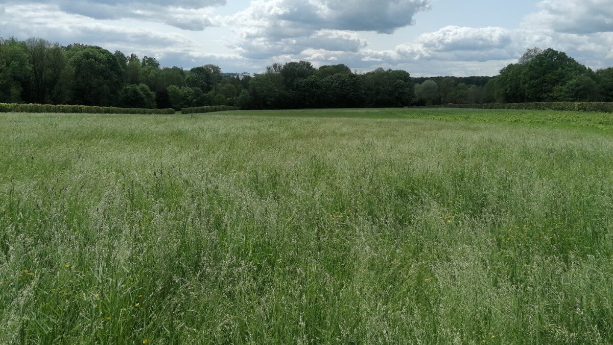 1686646803_IMG-20230516-WA0034