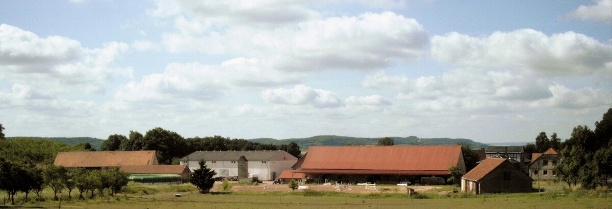 Reitanlage Buchenhof-1.jpg