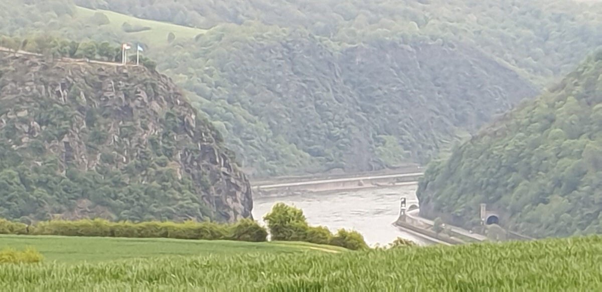 1616419861_image