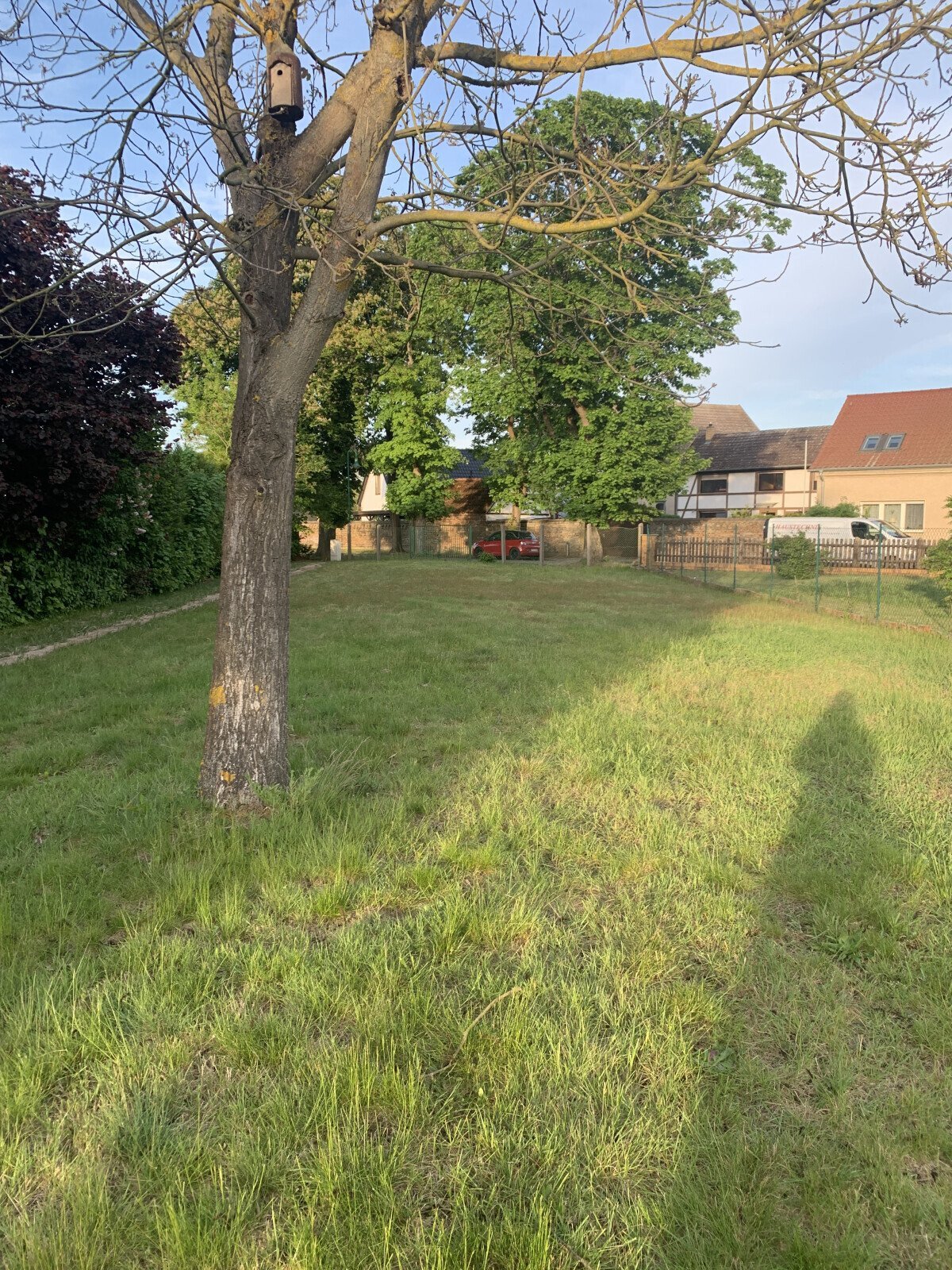 Obstgarten1.jpg