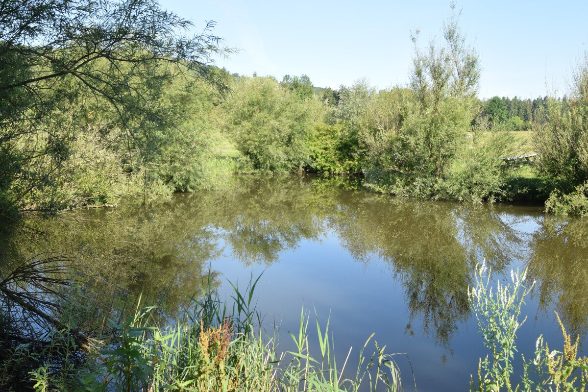 Weiher am Platz 1