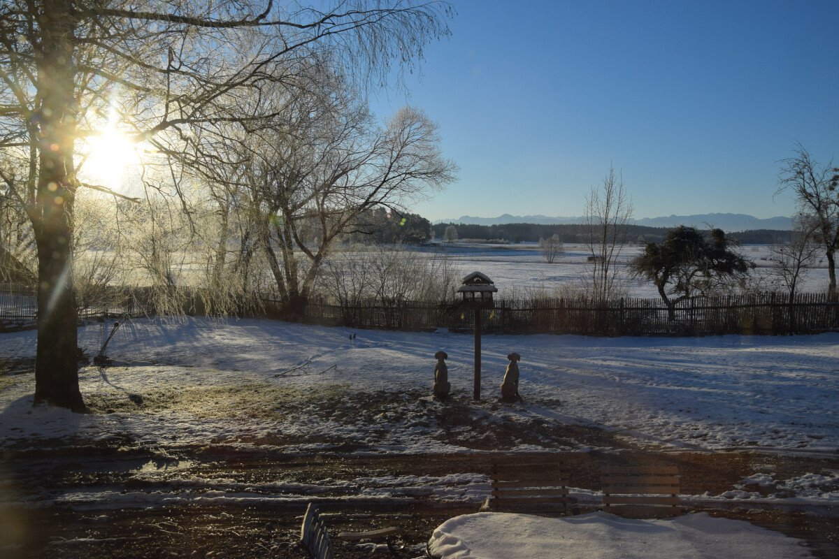 Blick von Gut Moosmühle nach Süden an einem Wintertag.JPG