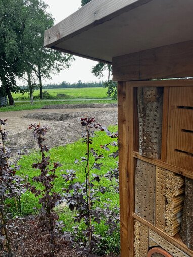 Blick vom Insektenhotel in Richtung Stellplatz