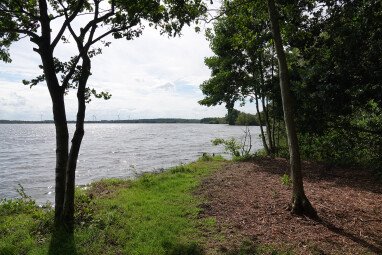 Umgebung Dahlemer See Moorsee Naturschutzgebiet