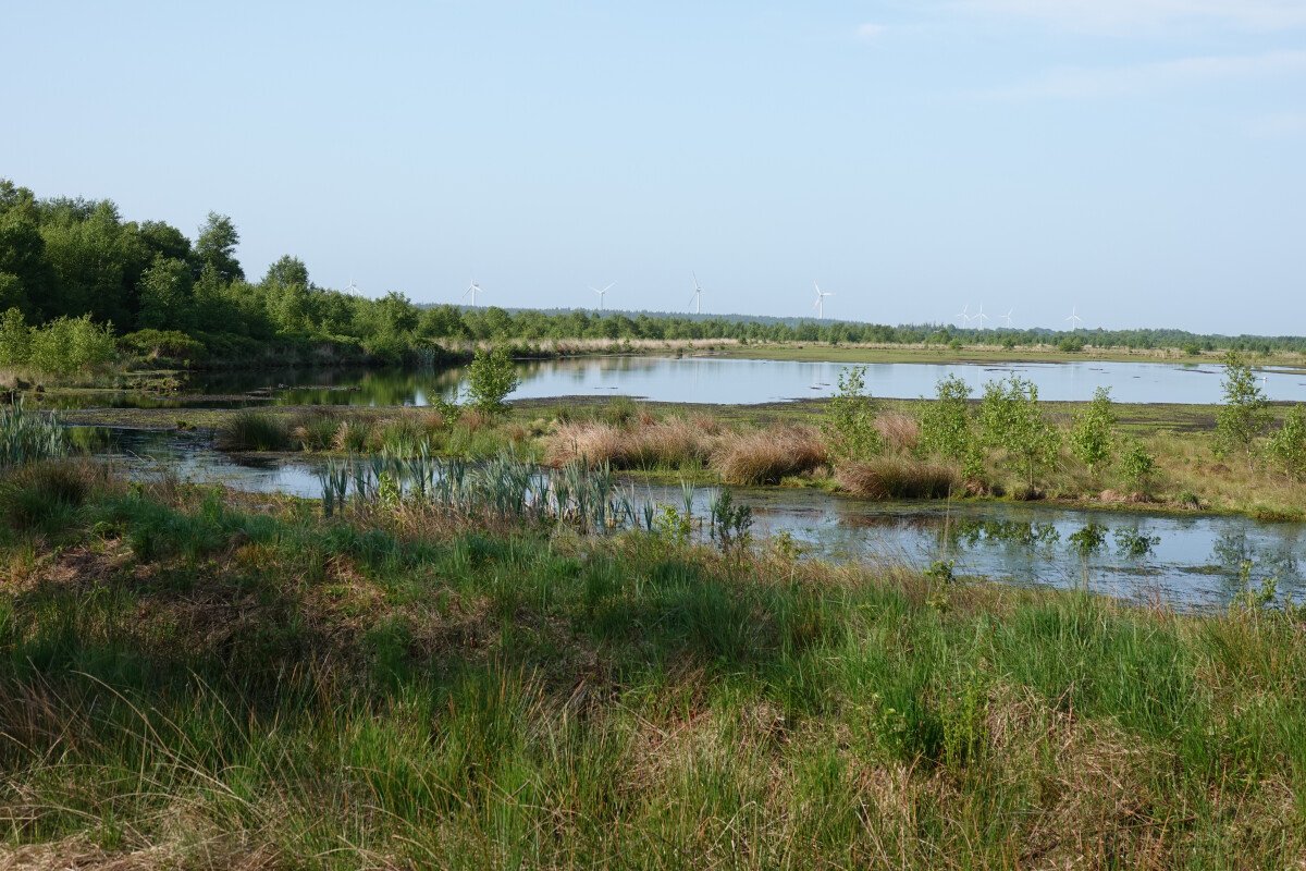 Moorlandschaft.JPG