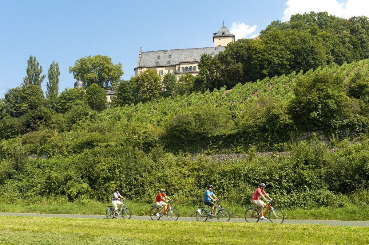 Blick auf die Weinberge.jpg