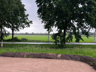 Blick vom Stellplatz Richtung Straße bzw. Felder und Wiesen