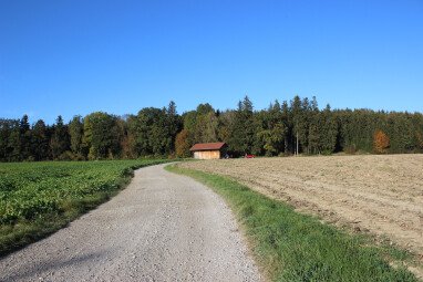 Felder und Wälder in unmittelbarer Nähe