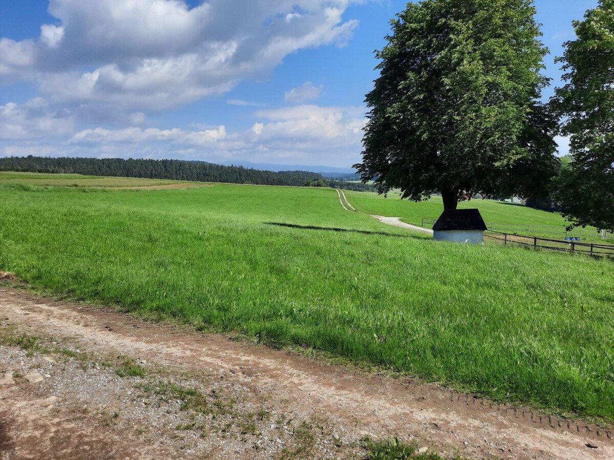 Blick zum Arber Richtung Norden