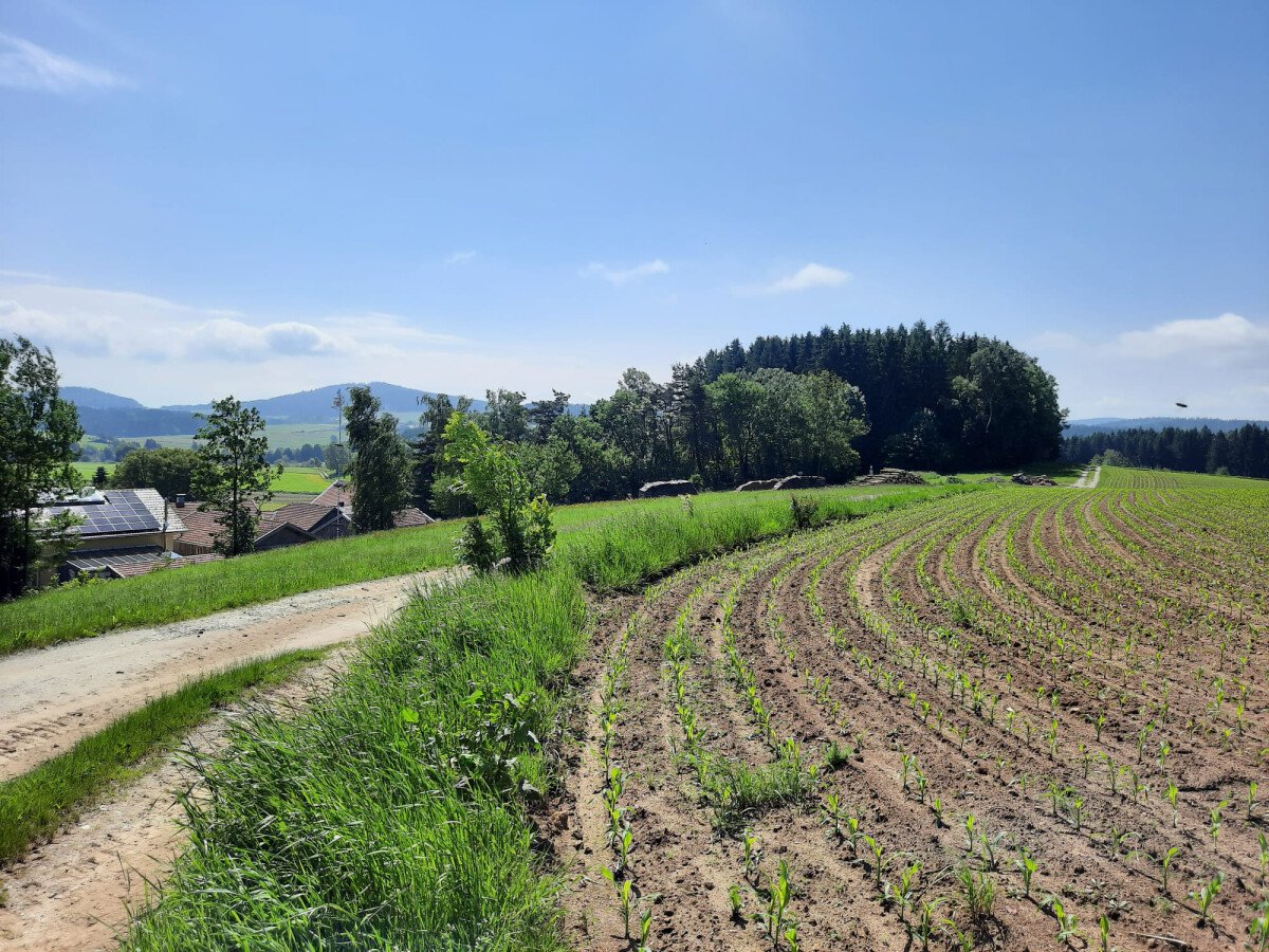 Blick nach Süden Einfahrt nach Kapelle links