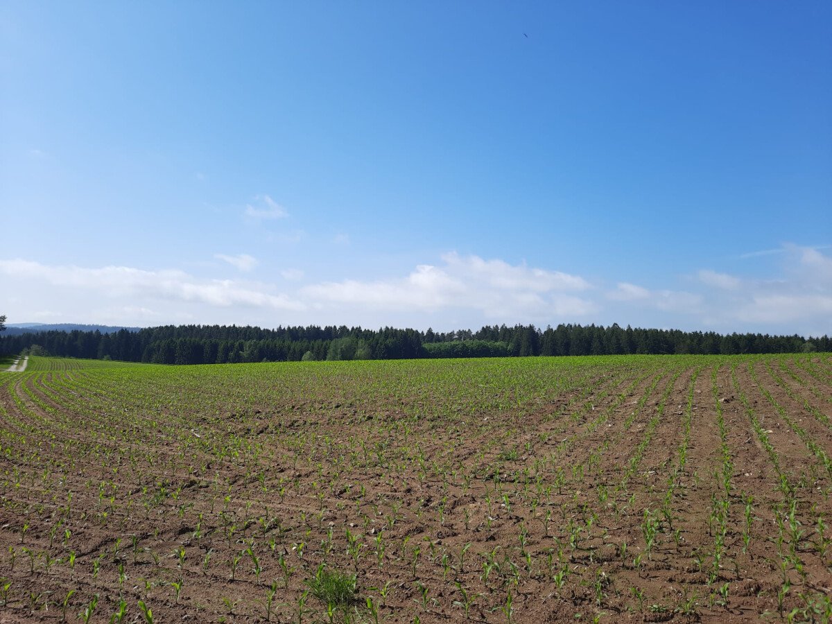 Blick Richtung Süd-West und Naturpark