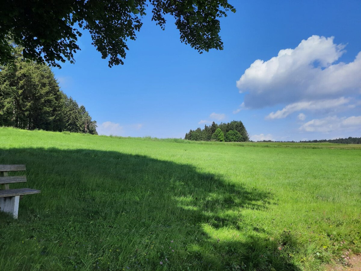 Blick vom Kapellchen aus