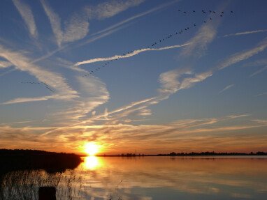 Sonnenuntergang am Bodden