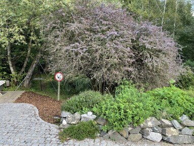 Stellplatz auf dem Hof mit Zugang in den Wald und das Biotop