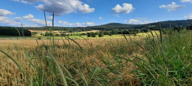 Weitblick Richtung Spitzberg