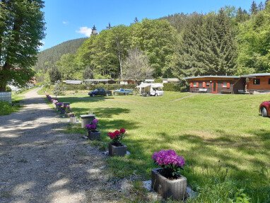 Naturcamping Lothramühle Platz