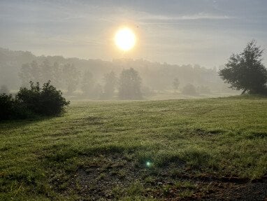 Dieser Blick erwartet Camper am Morgen