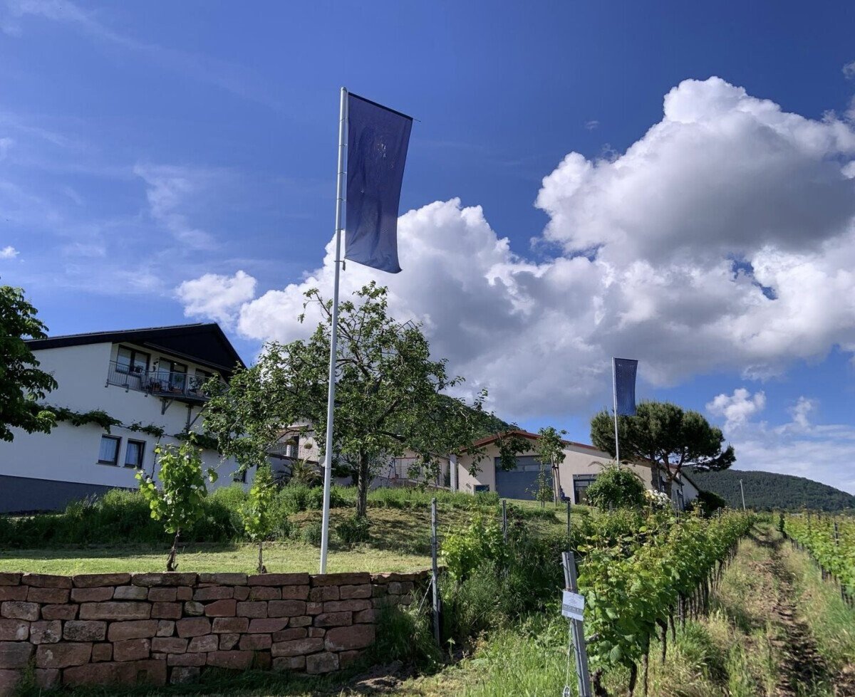 Stellplatz-Weingut-large