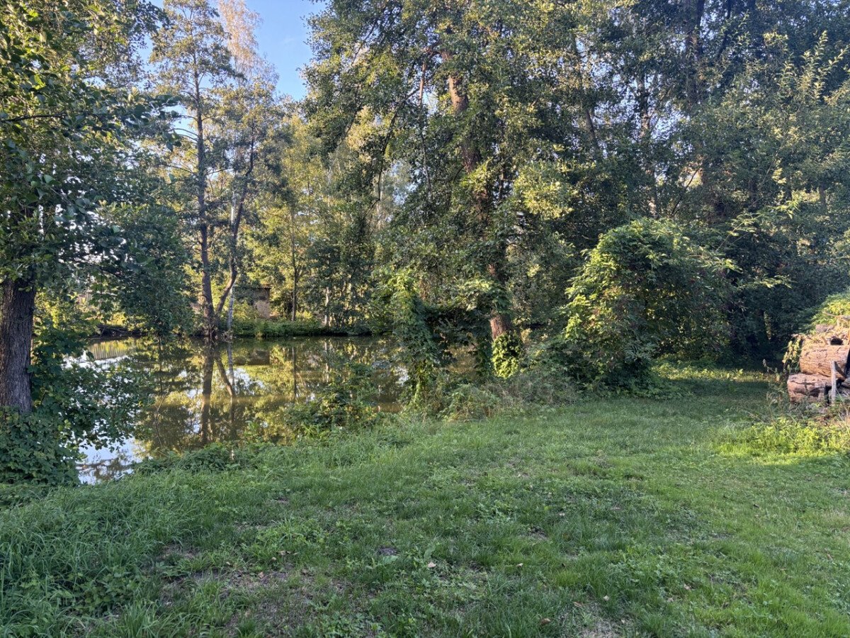 Groß (Teich2).jpeg