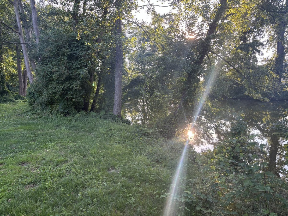 Groß (Teich3).jpeg