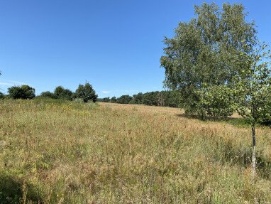 Felder und Wald umgeben die alte Kiesgrube