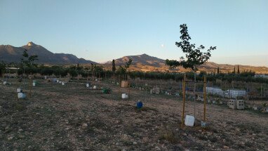 un atardecer de una jornada de trabajo.