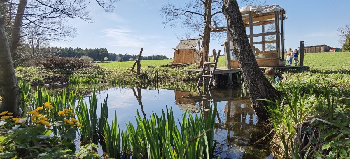 teich.jpg