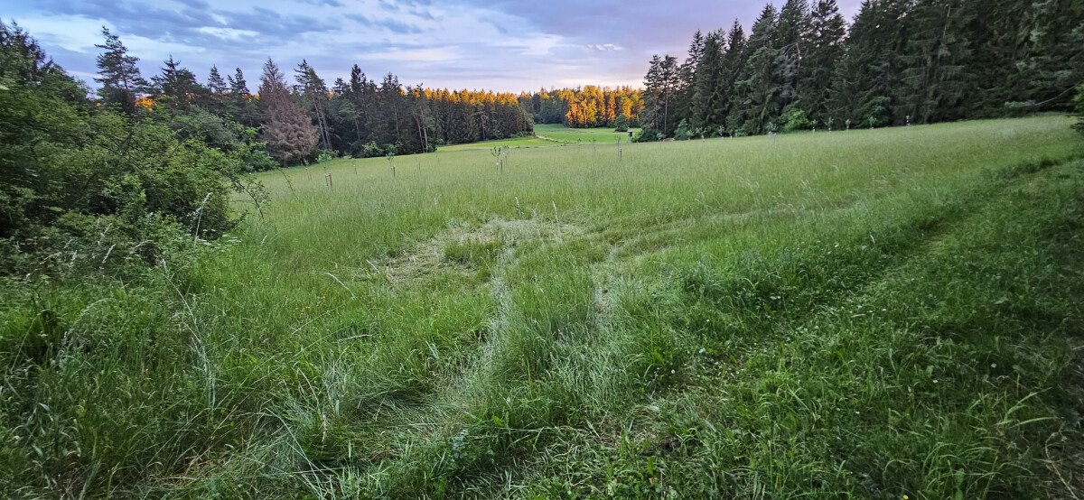 Ausschicht vom Stellplatz