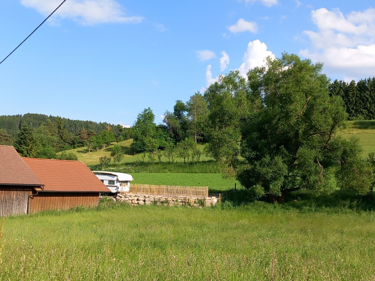 20230610_181515.jpg
