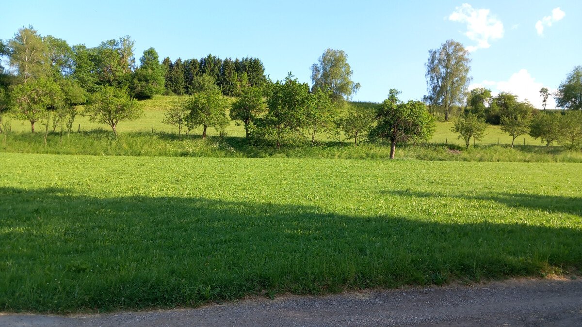 IMG-20230610-WA0037.jpeg
