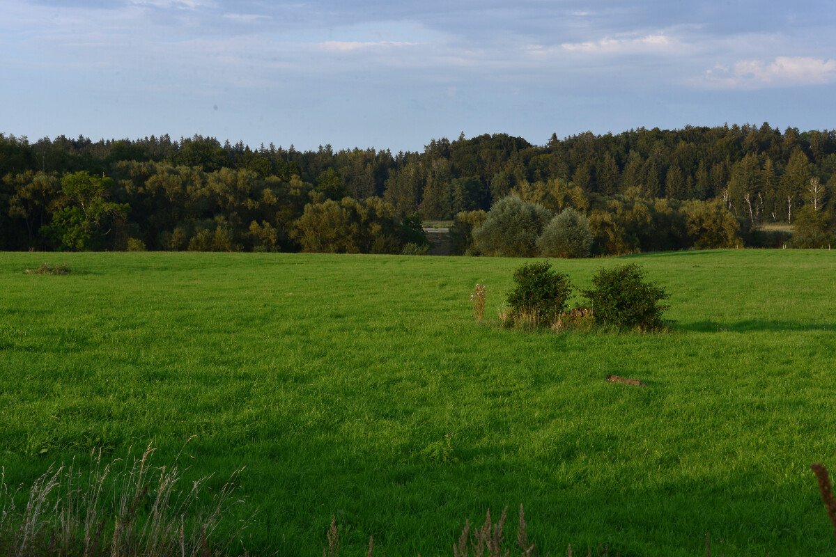 Zellsee-Wiese Pferdenahrung, Reiten und Campen