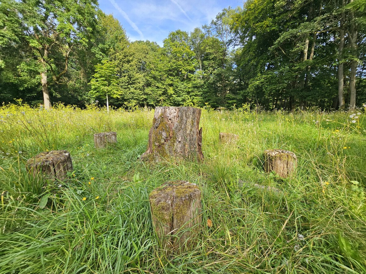 20240806_172913.jpg