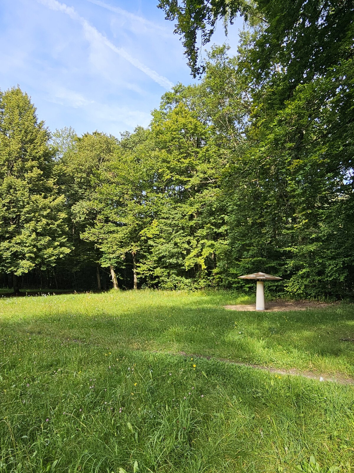 20240806_172953.jpg