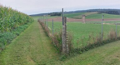 Blick auf Alpakaweide 