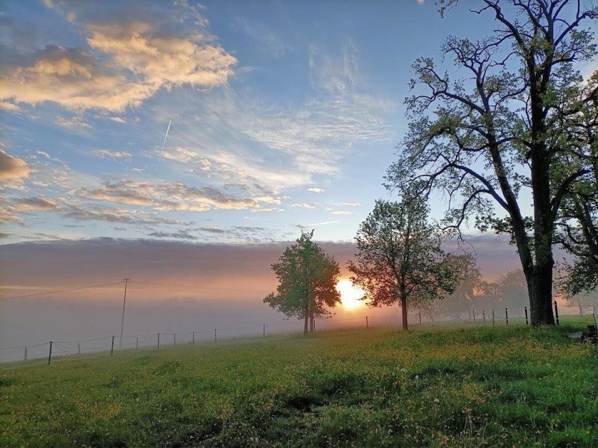 Morgenstimmung.jpg