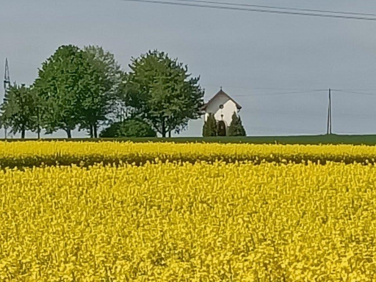 Kapelle bei Henstetten.jpg