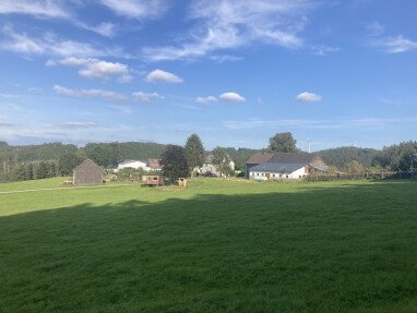 Blick auf den Hof und zwei der drei Stellplätze