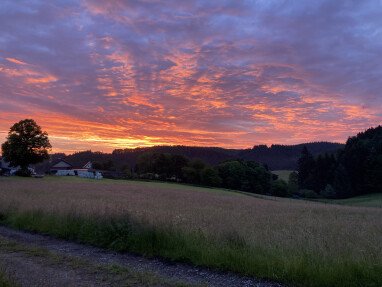 Morgens am Stellplatz 3