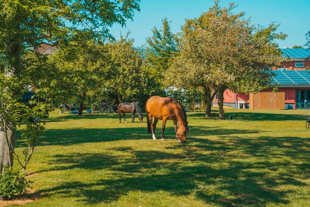 Inselhof Fehmarn-NEU-15.jpeg