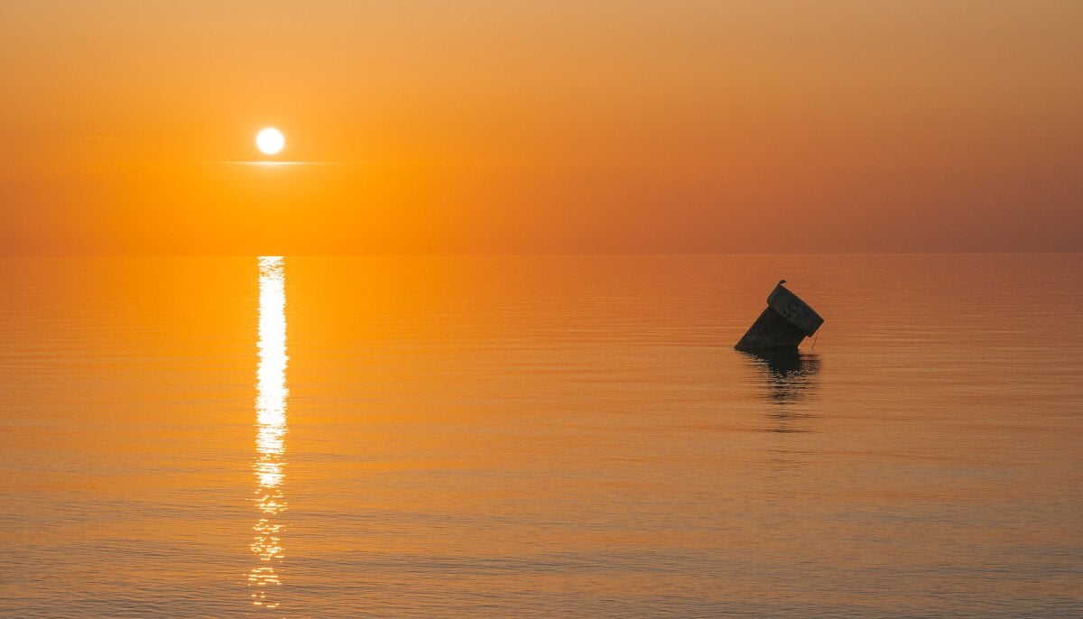 Inselhof Fehmarn-NEU-45.jpeg