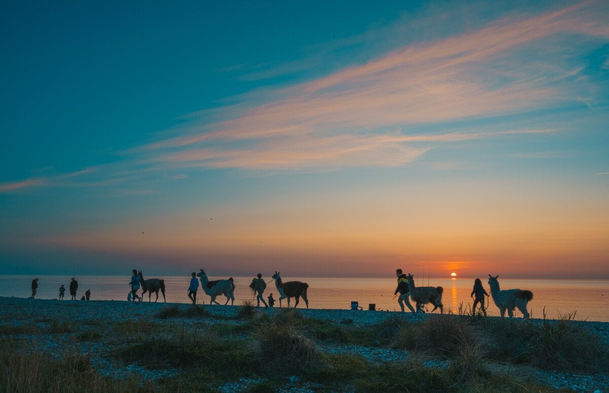 Inselhof Fehmarn-NEU-43.jpeg