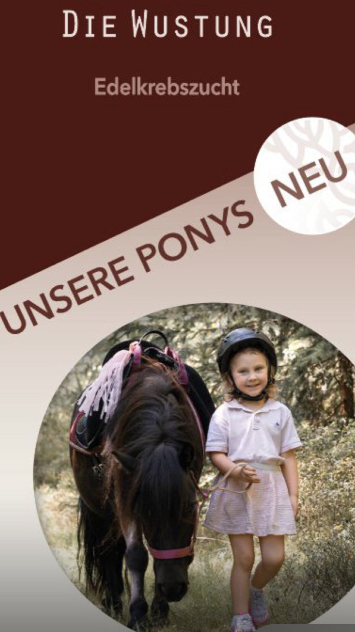 Ponywanderung.jpg