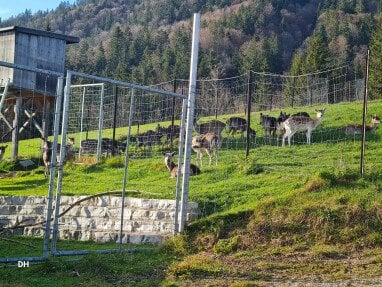 Wildgehege Oberkastner