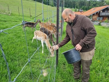 Wildfütterung